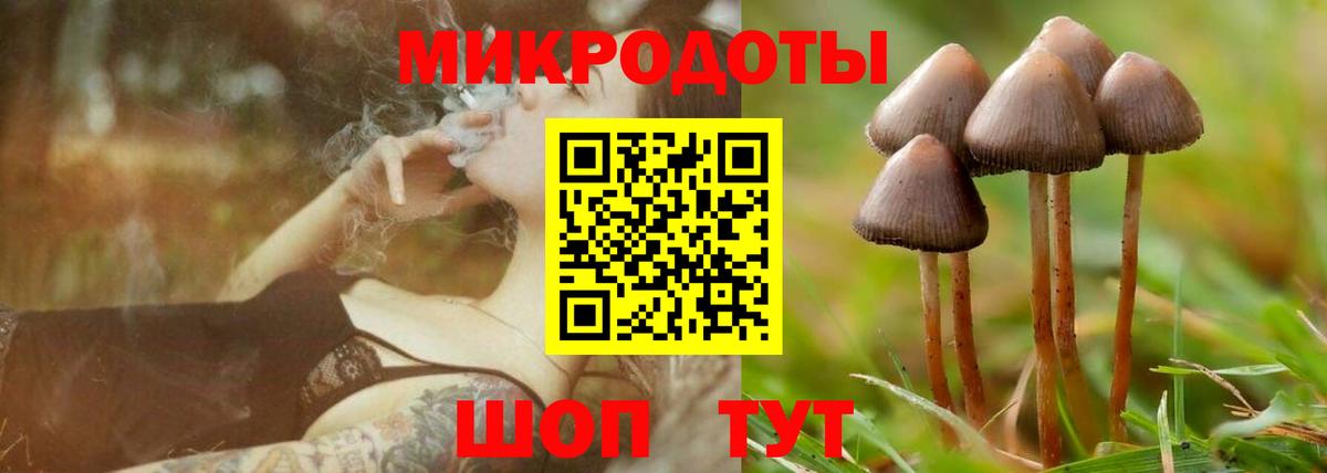 Галлюциногенные грибы GOLDEN TEACHER Петропавловск-Камчатский